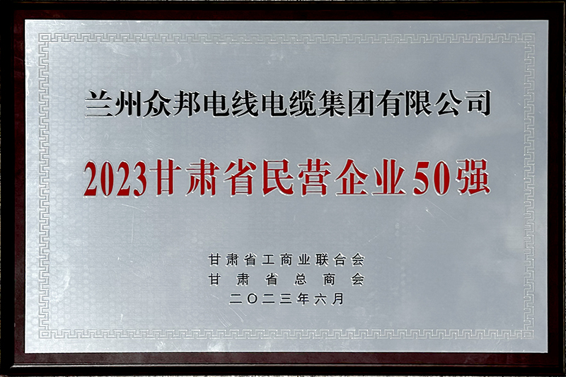 民营企业50强